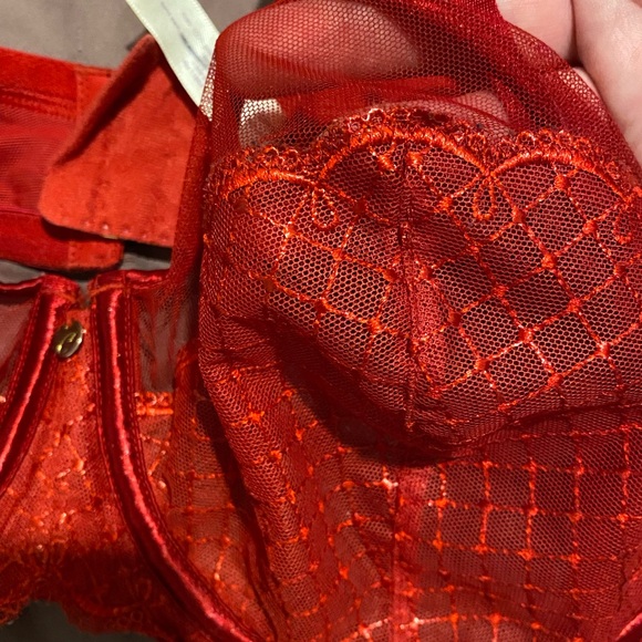 Red sheer bra by Cacique - 38dd - Picture 3 of 6